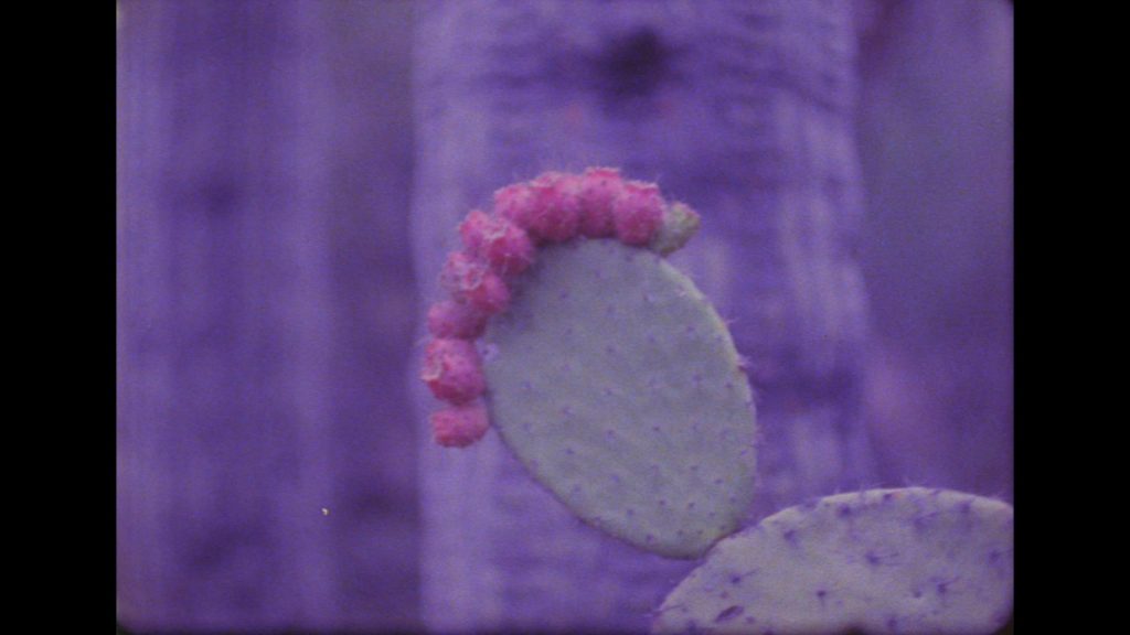 [Fig. 4] Stills from Coyolxauhqui, HD video shot on 16mm with color and sound. Photo courtesy of the Artist (Colectivo los Ingrávidos 2017).